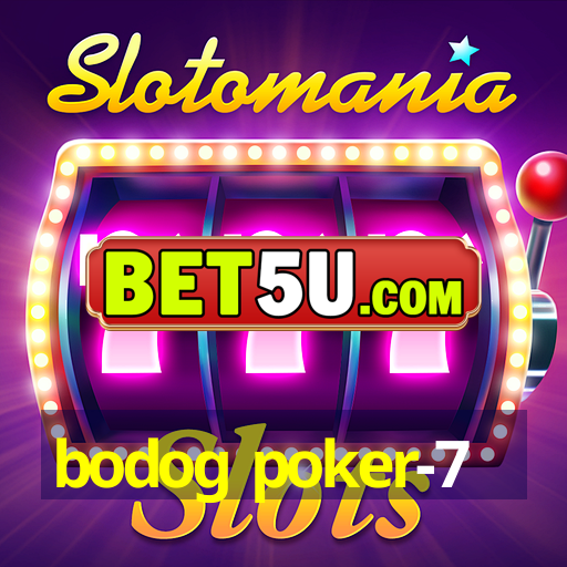 bodog poker